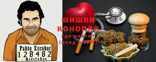 Альфа ПВП Пересвет