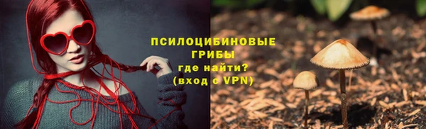 молекула духа Алексеевка