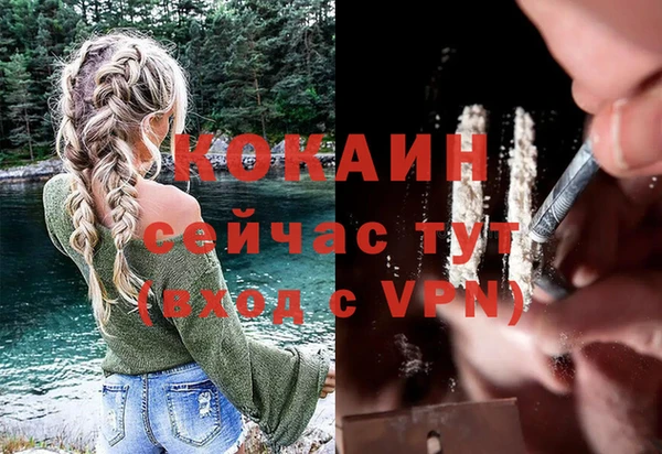 молекула духа Алексеевка