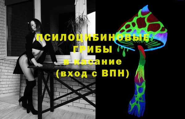 молекула духа Алексеевка